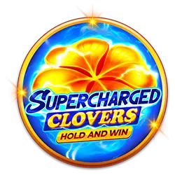 969 bet arne slot cassino jogos grátis